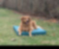 Screenshot_20251207-151819~2.png