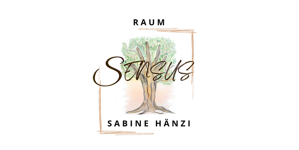 Raum Sensus home.png