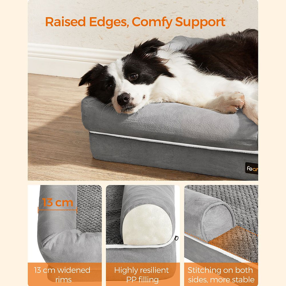 Thumbnail: Orthopedic Dog Bed
