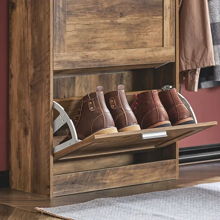 Thumbnail: Shoe Cabinet Storage