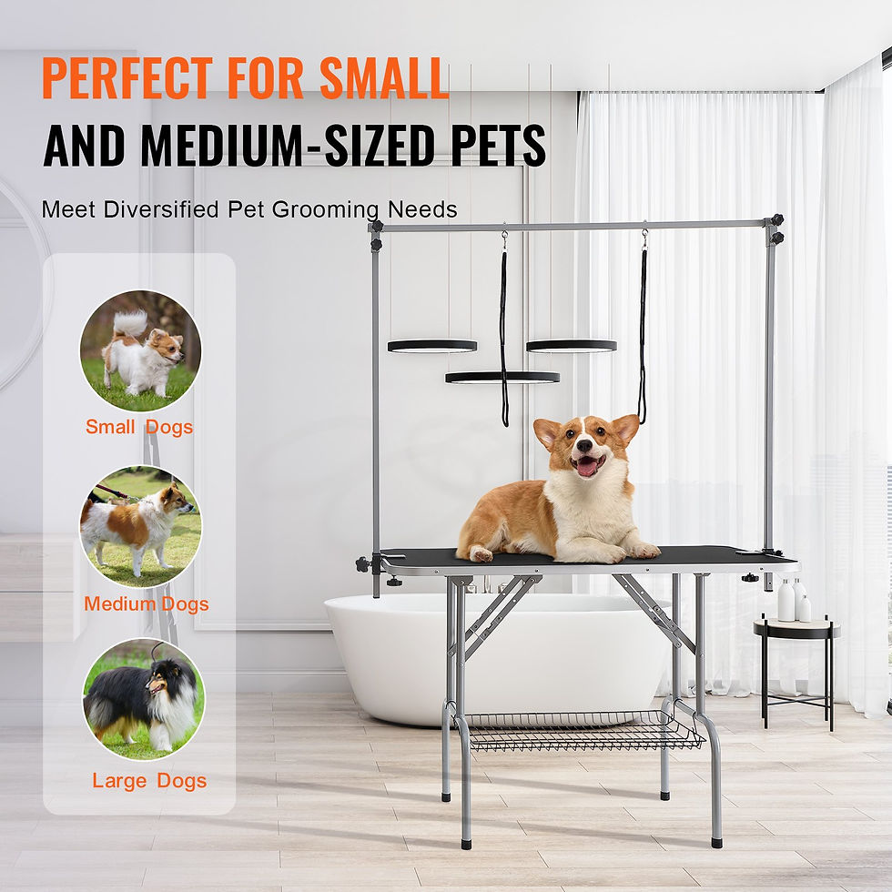Thumbnail: Pet Grooming Table Two Arms with Clamp, 117cm Dog Grooming table