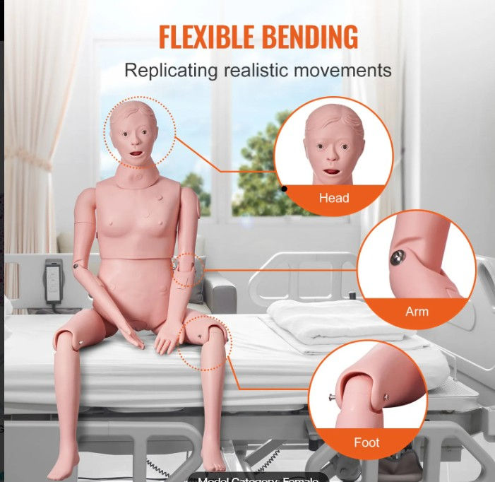 Thumbnail: Nursing Training Manikin – Life Size Male or Female Patient Care Simulator for E