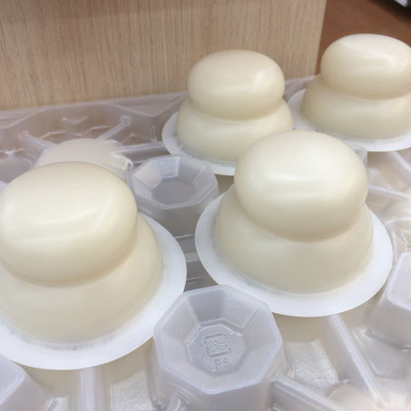Mochi - (もち)