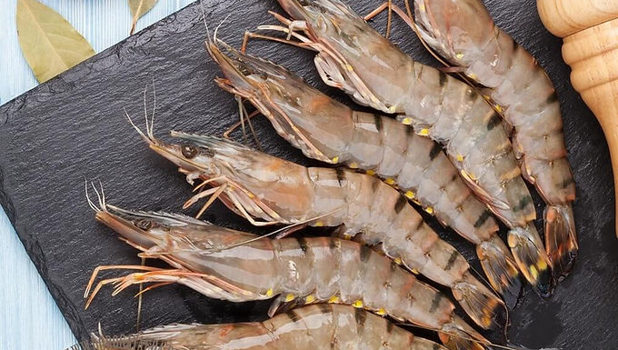 Креветка в панцире средняя 31-40