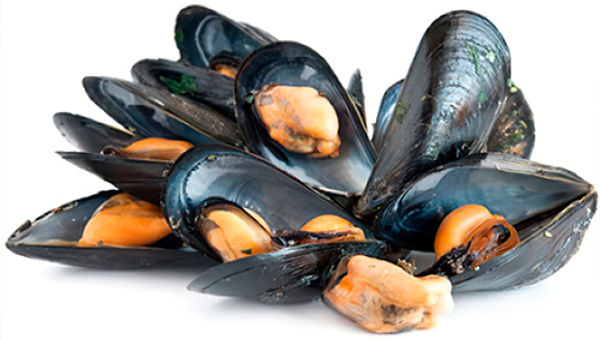 Мидии чёрные Канада