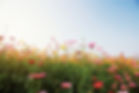AdobeStock_294292863.jpeg
