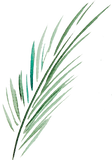 Leaf5