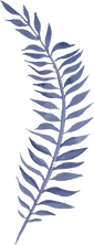 Leaf2