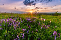 AdobeStock_357823985.jpeg