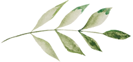 Leaf4