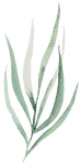 Leaf3