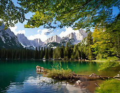 Firefly Mountains with a lake and trees in the foreground 39404.jpg