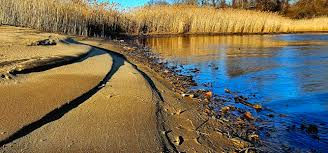 Bohemia River Clean Up Day