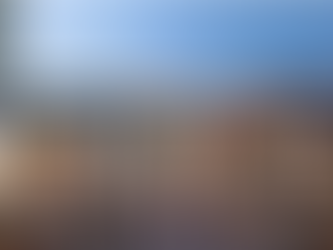 Reinventing the Retail Strip: Why Everyday Retail Still Matters and How to Make It Irresistible