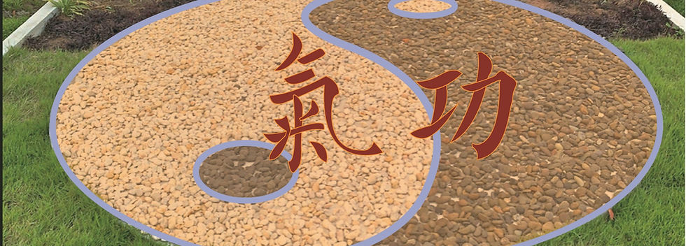 qi gongS.jpg