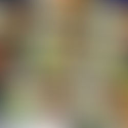 국가생명윤리정책원 