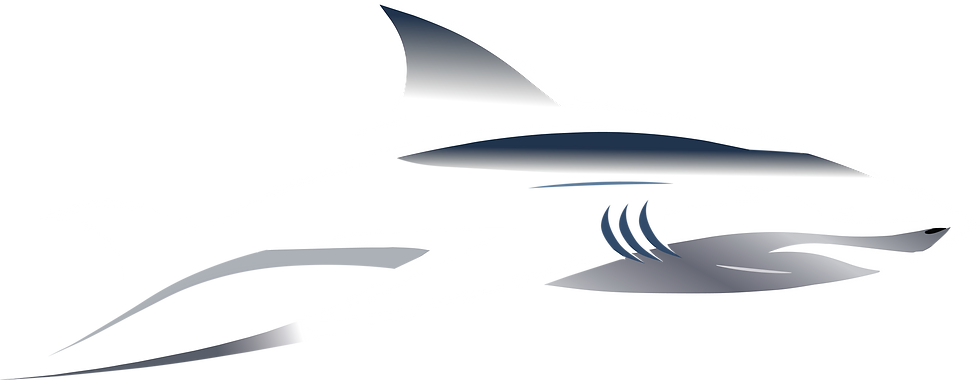 abg shark 2 (2).png