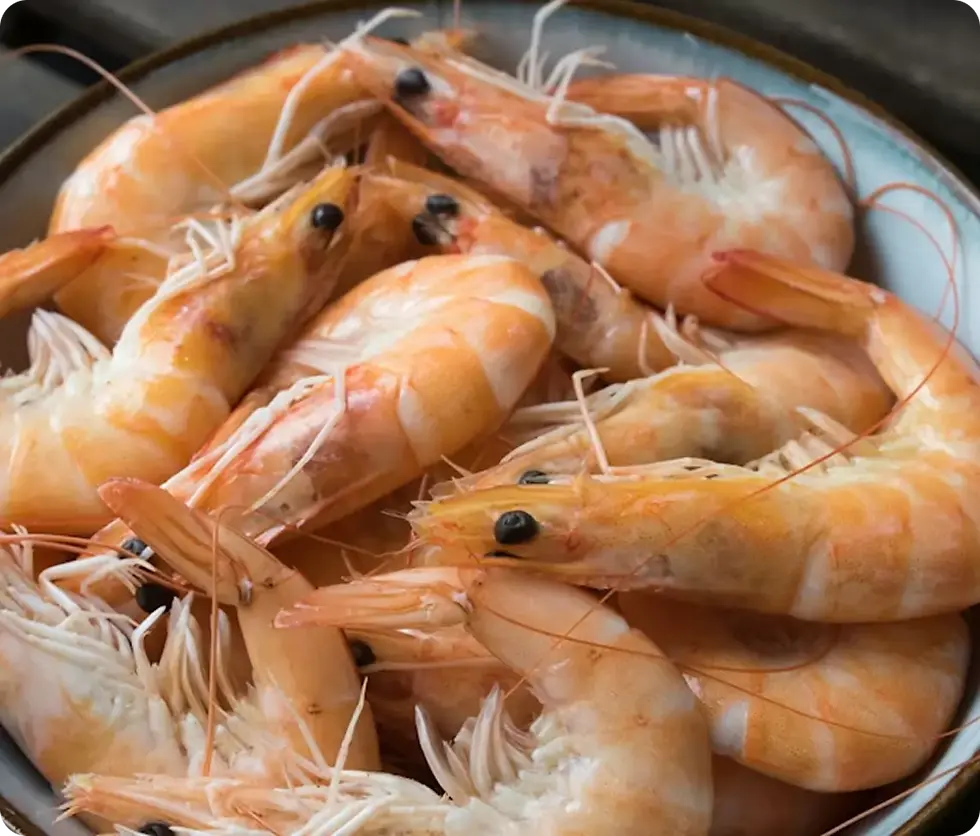 Fresh Seafood (1).webp