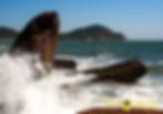 Pedras da Praia do Rosa Sul
