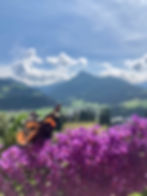 Schmetterling