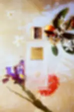 okPerrisNeroliVertic800x1200_web_1000x.jpg.webp