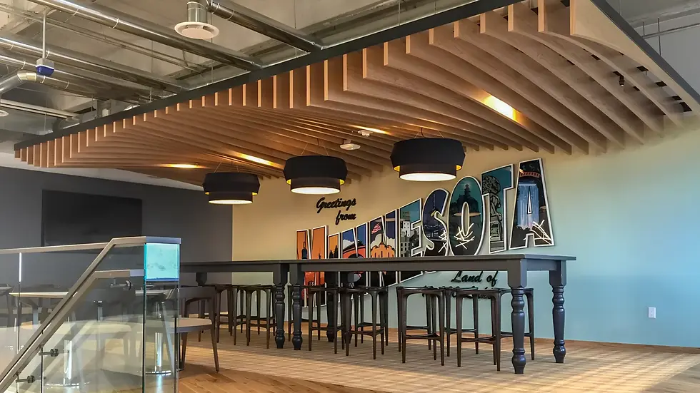 Tavan Tasarım Projelerimiz