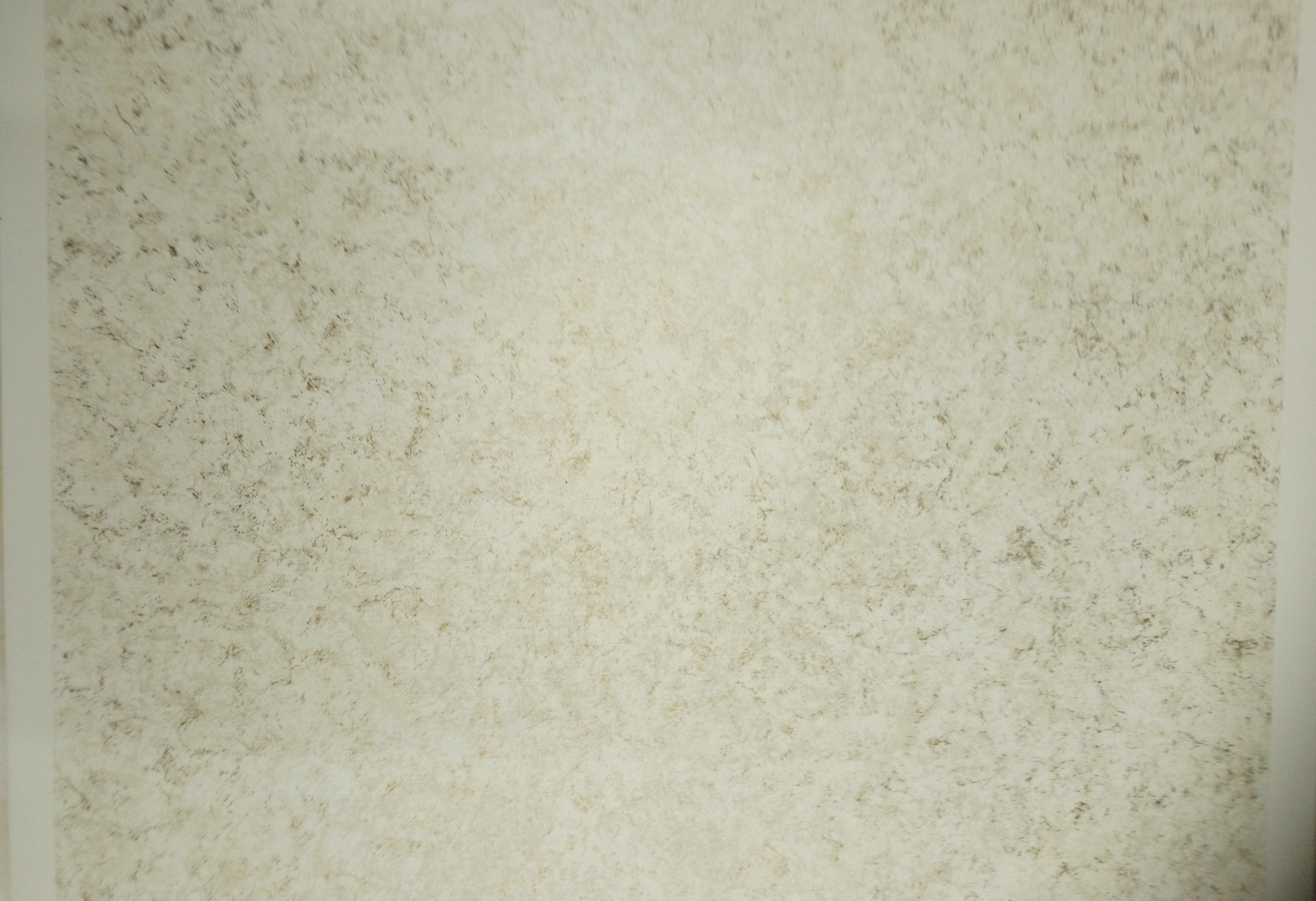 Patine contemporaine