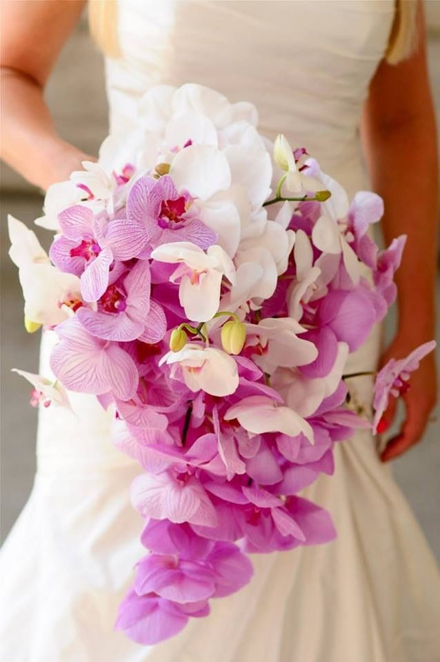 orquidea3.jpg