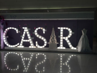 Casar 2015 - Confira todas as novidades!