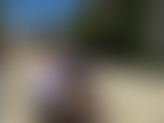 Seagull Century - Eastern Shore du Maryland 2024