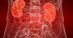 Kidney Disease