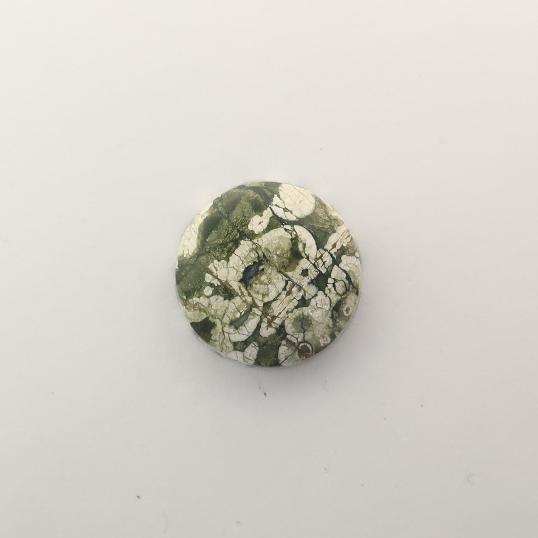 RY2: #28 (Cab) New Rainforest Jasper