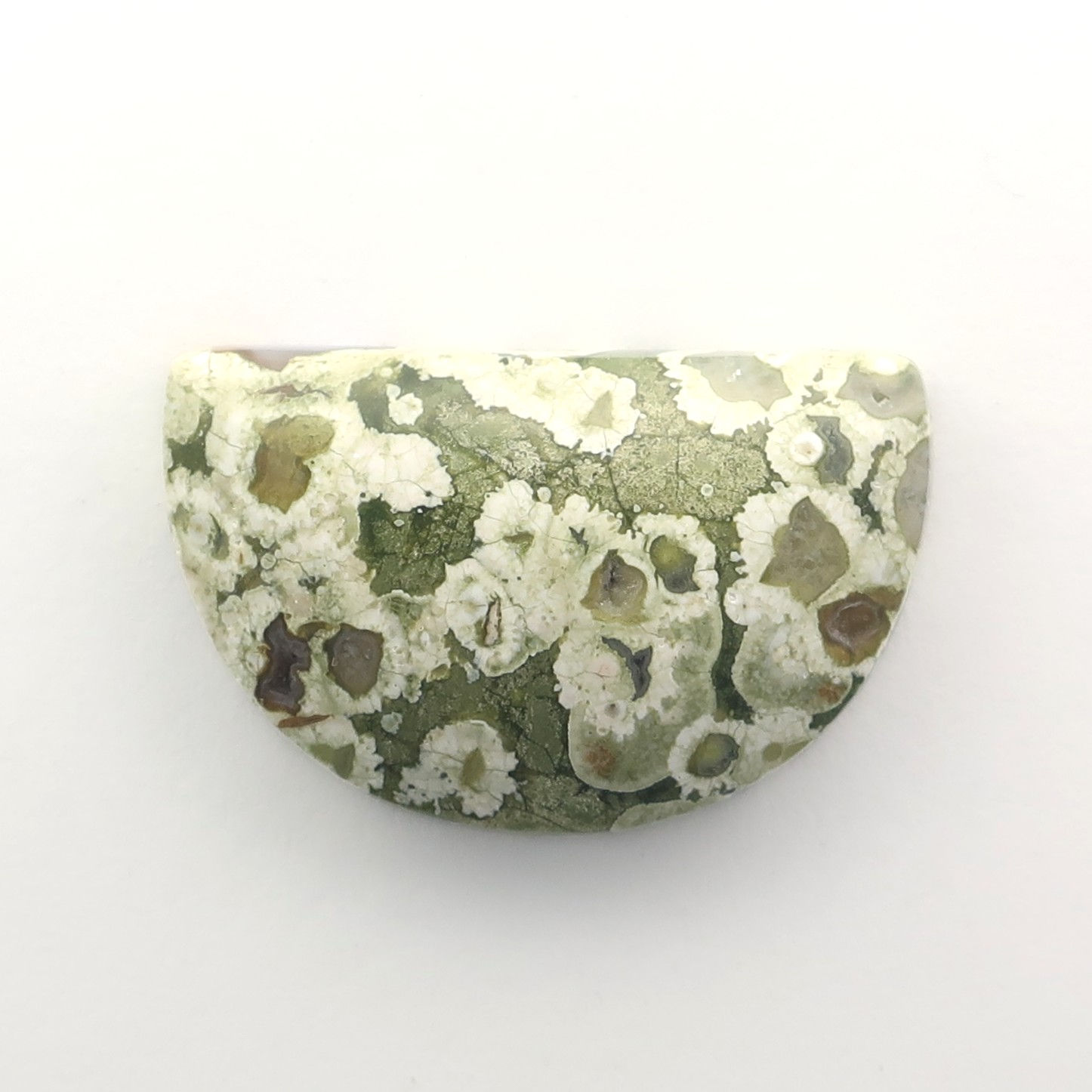 RY2: #15 (CAB)New Rainforest Jasper