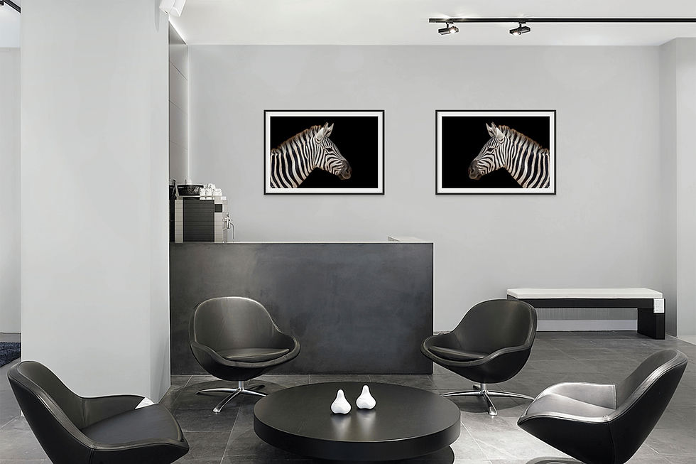 Thumbnail: Zebra Left