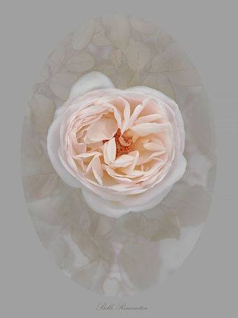 Belle Romantica