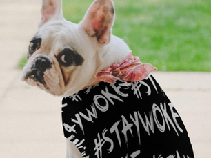 The Rise of the “Woke” Dog Owner