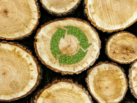 Circular Economy Plan for Small and Medium-sized Enterprises