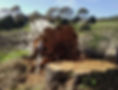 Stump-Removal-Arborist.jpg