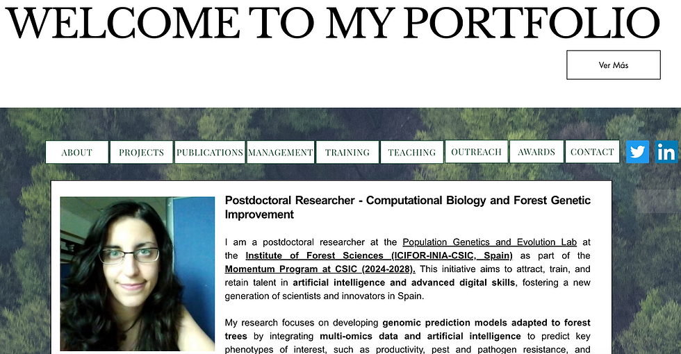 Screenshot of my portfolio