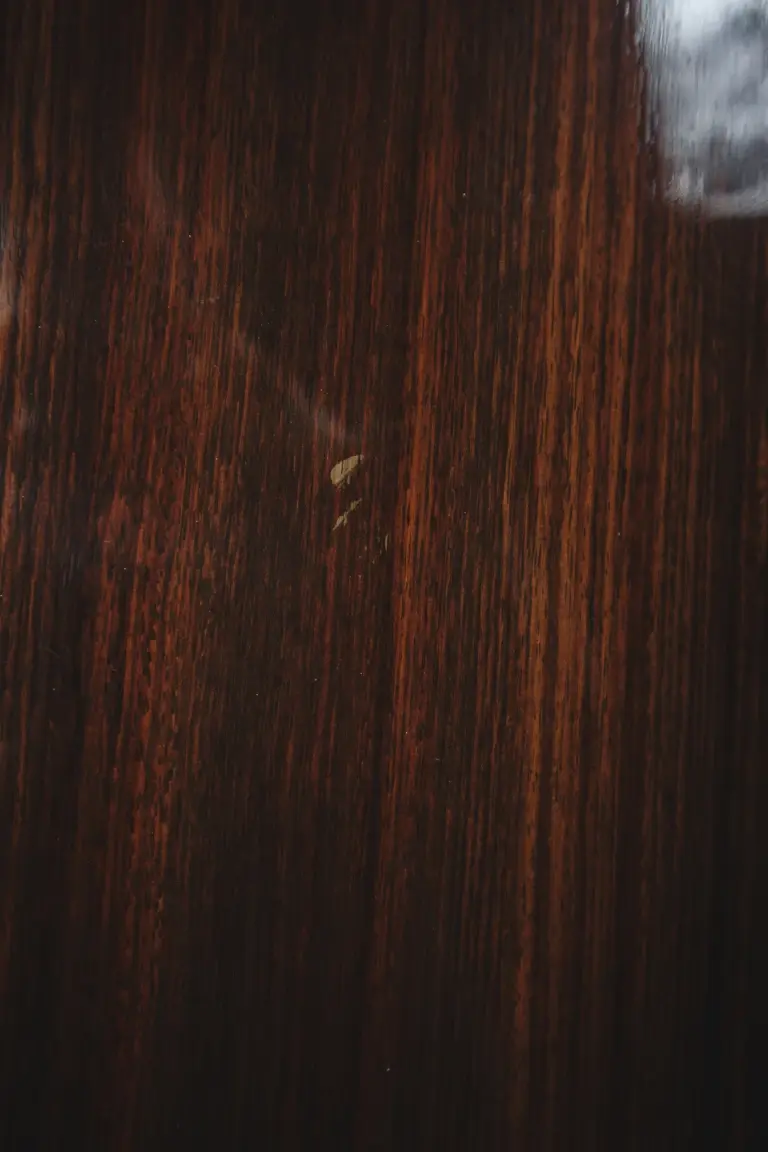 Thumbnail: mark on back of Gibson Songriter EC