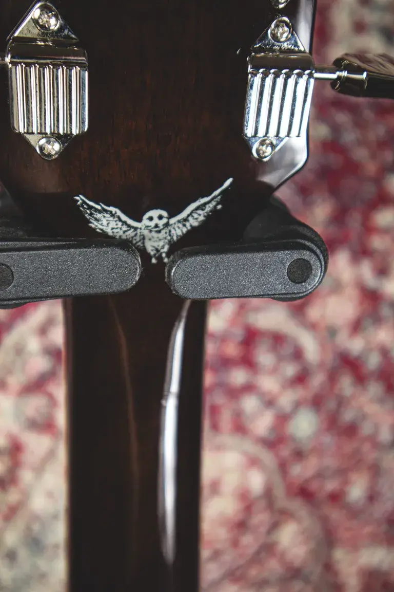 Thumbnail: Close up of Jim James logo on rear of Epiphone ES335 Jim James