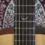 Thumbnail: Faith Neptune ebony fretboard with Faith “F” inlay