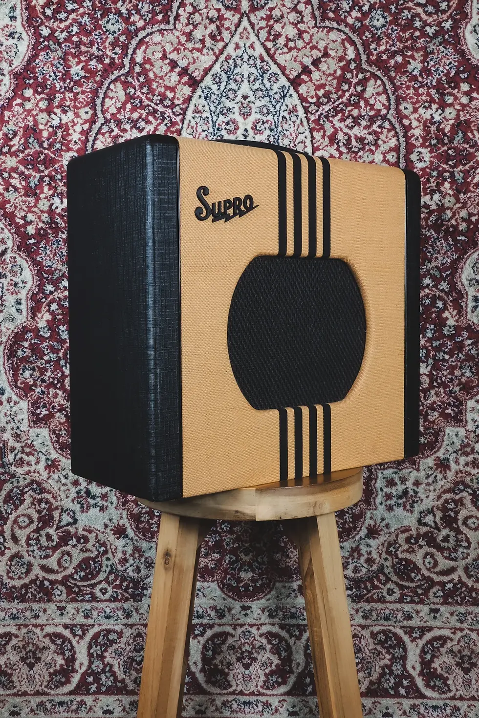 Left Angled front view of Supro Delta King 10 (1820R)