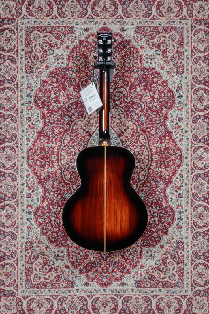 Tanglewood Winterleaf TWX1EK full rear view