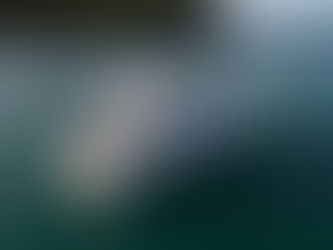 What Bait to Use While Fishing in the Hauraki Gulf