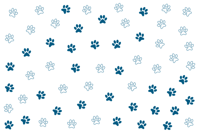 fce5862a-17b9-4351-9b09-a99c46c4e38e-[Convertido].png