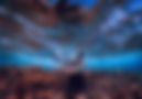 sea-2470908.jpg
