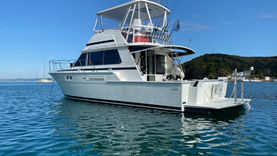 Spacious white power cruiser launch anchored in a New Zealand bay.