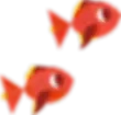 Peces rojos