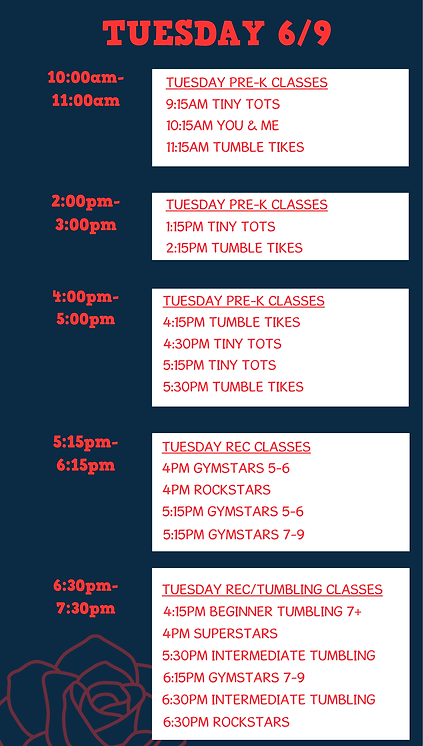Show Week Schedule Stardust (8.5 x 15 in) (16).png